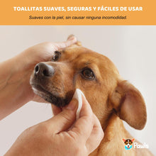 Toallitas Piel & Pelaje