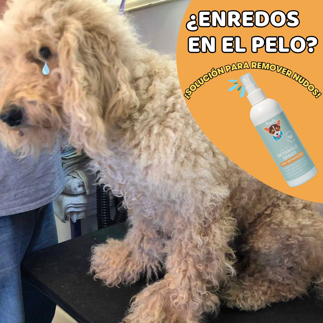 Coat Detangling Spray™