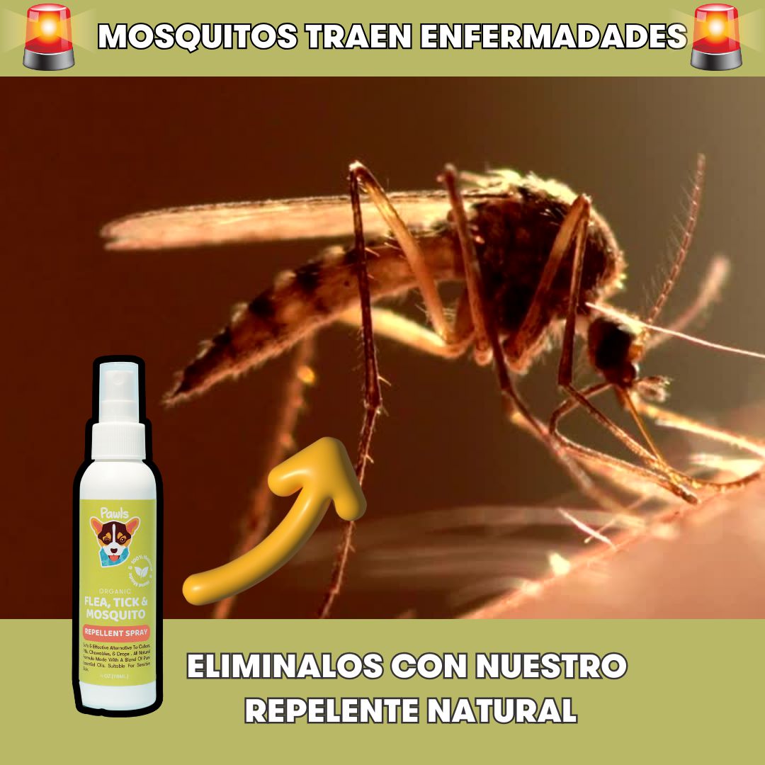 Flea, Tick, & Mosquito Repellent Spray™
