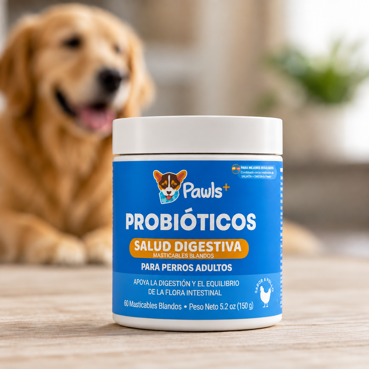 Probióticos — Salud Digestiva