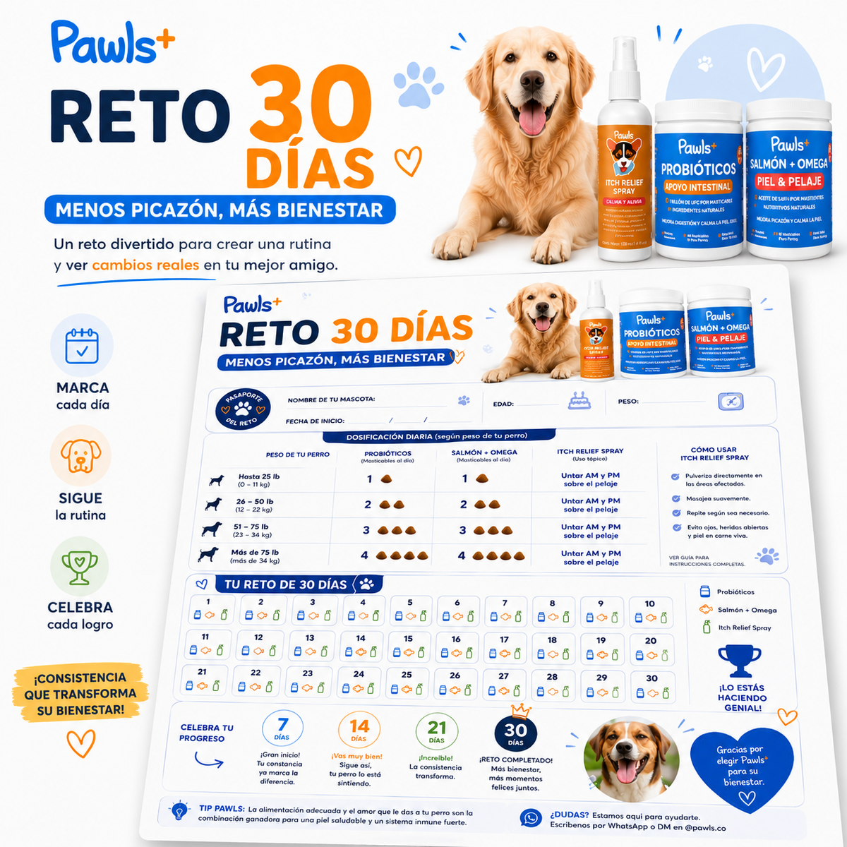 Reto de 30 Días
