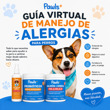 Guía Virtual de Manejo de Alergias para Perros