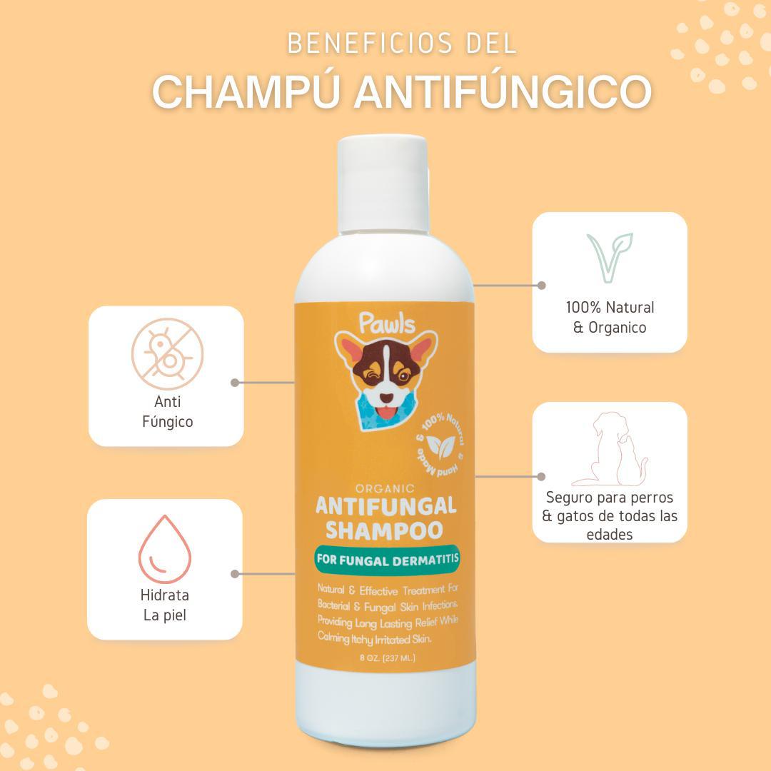 Antifungal Shampoo