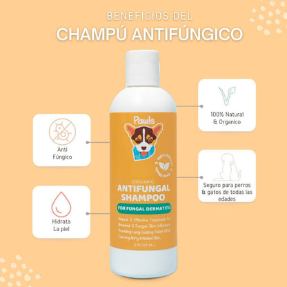Antifungal Shampoo