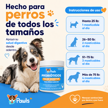 Probióticos — Salud Digestiva