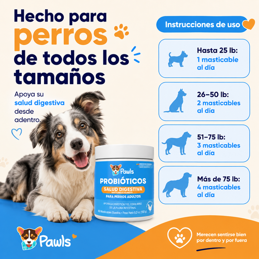 Probióticos — Salud Digestiva
