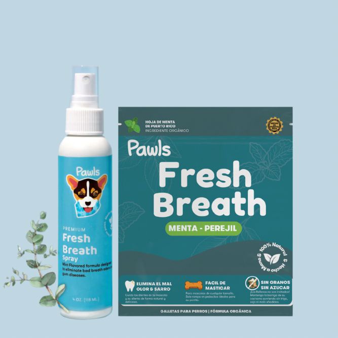 Fresh Breath BUNDLE