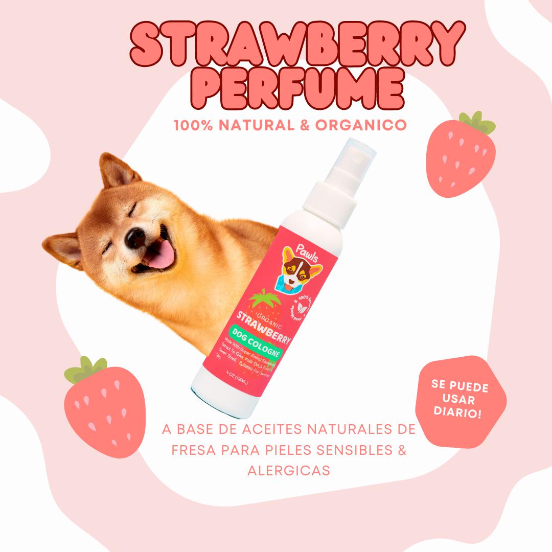 Strawberry Perfume 🍓