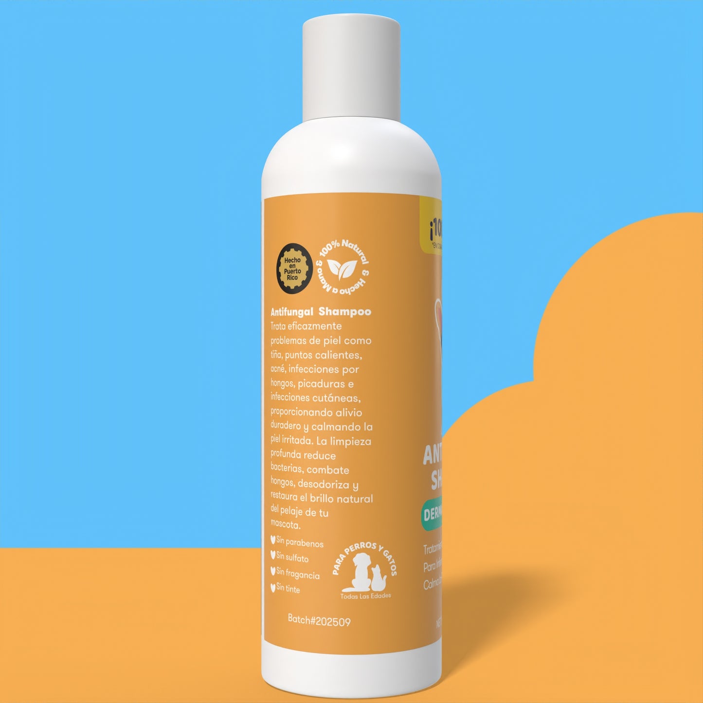 Antifungal Shampoo