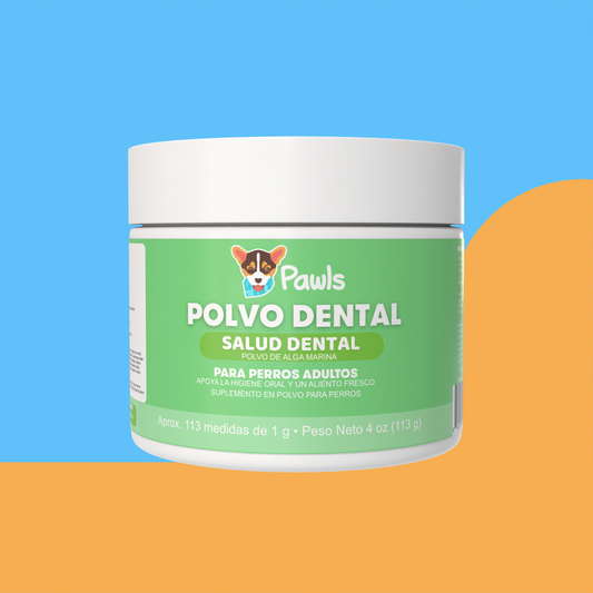 Polvo Dental  — Salud Dental