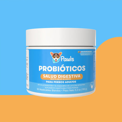 Probióticos — Salud Digestiva