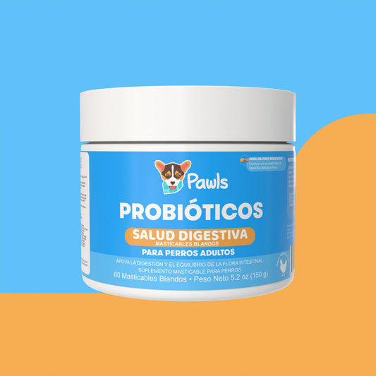 Probióticos — Salud Digestiva