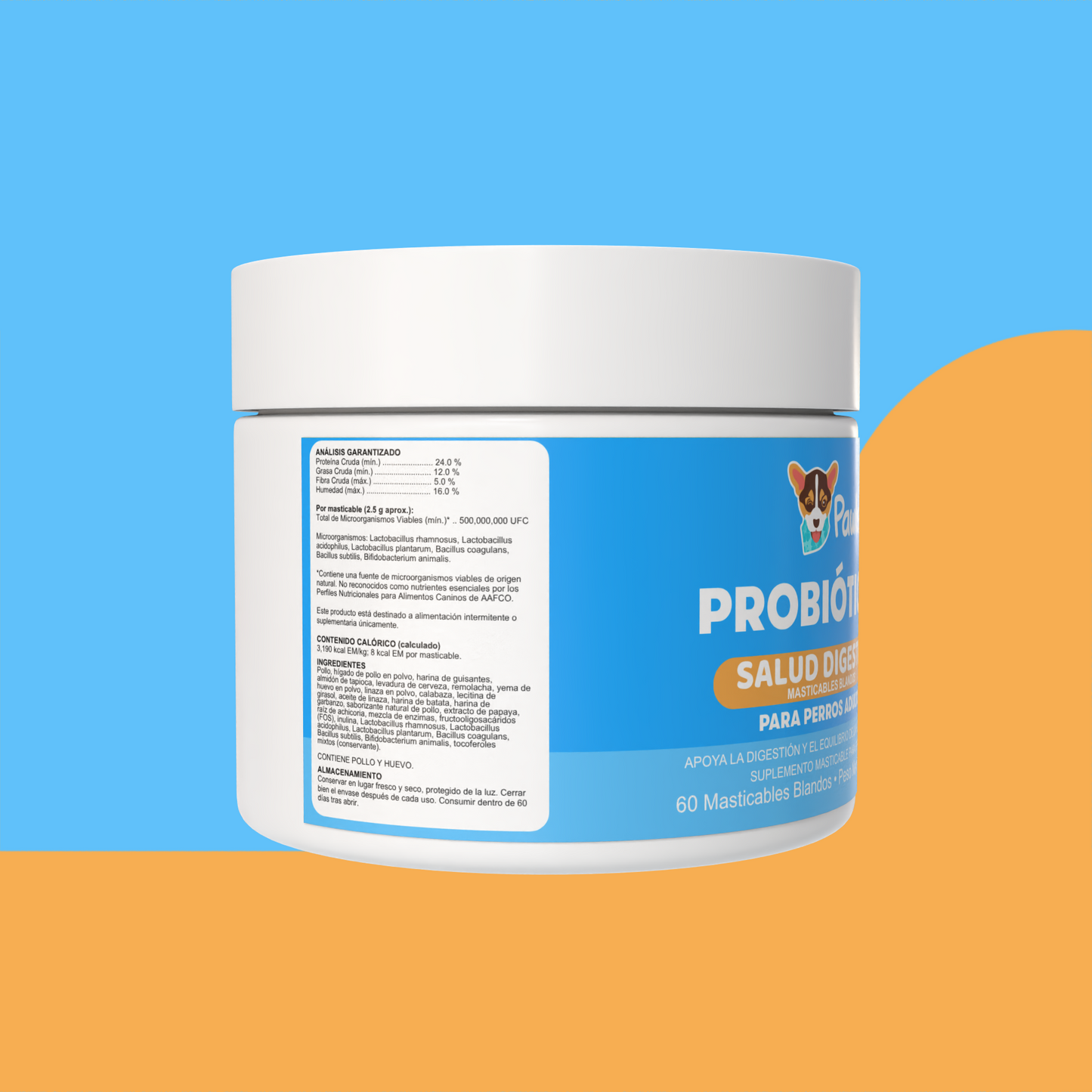 Probióticos — Salud Digestiva