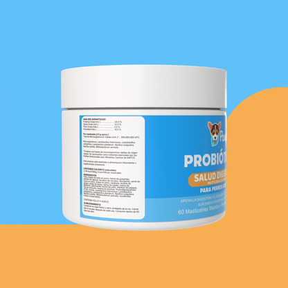 Probióticos — Salud Digestiva