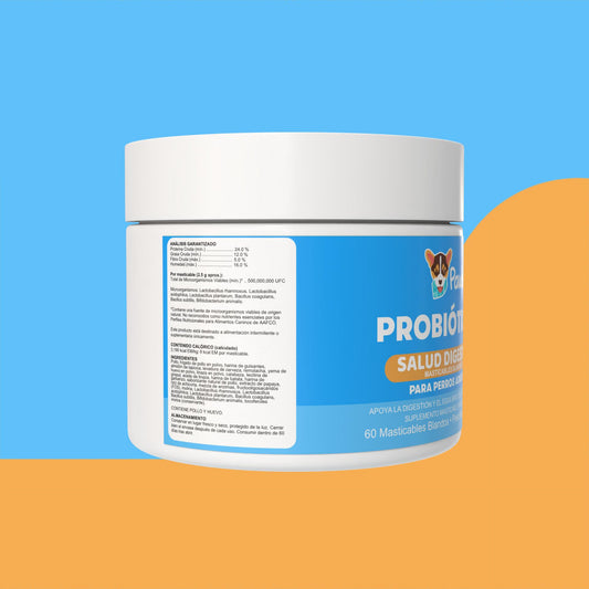 Probióticos — Salud Digestiva