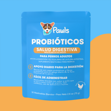 Probióticos — Salud Digestiva