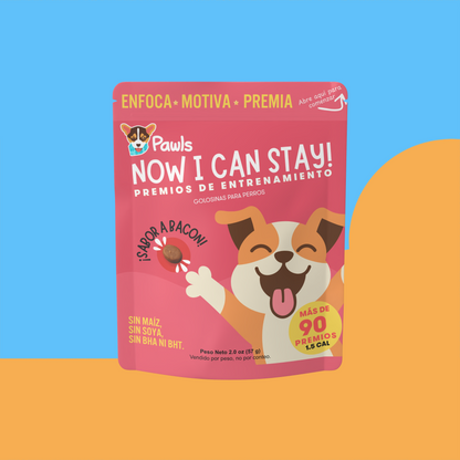 NOW I CAN STAY! — Premios de Entrenamiento