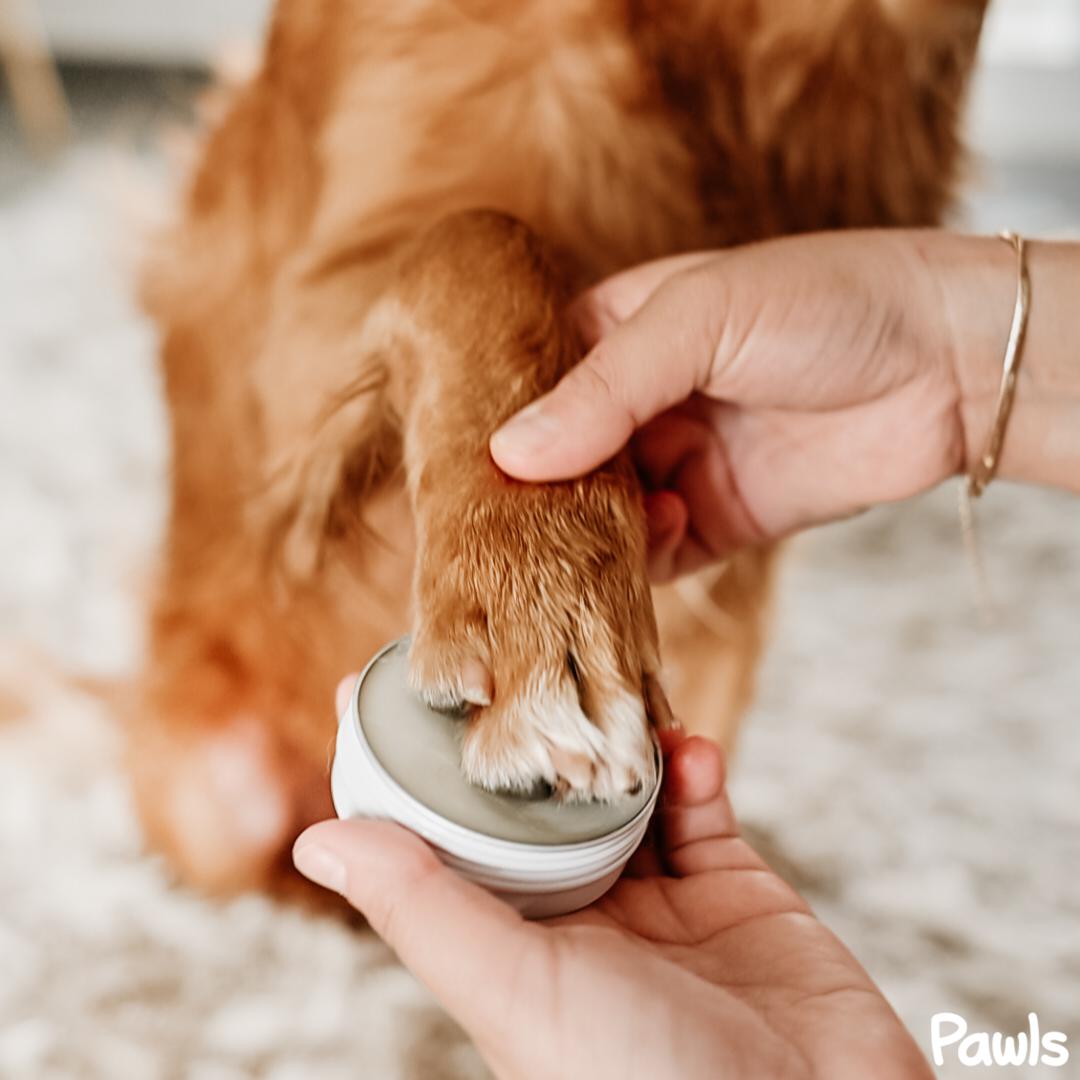 Hydrating Paw Balm™