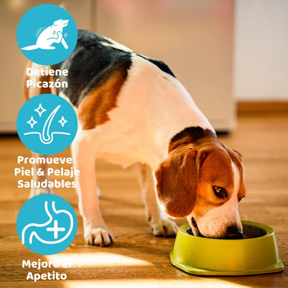 Holistic Dry Dog Food